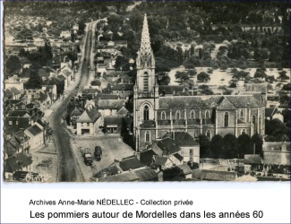 Les pommiers autour de Mordelles dans les années 60