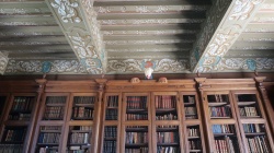 Plafond de la bibliothèque